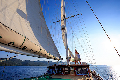 Yacht Carpe Diem 7 photo